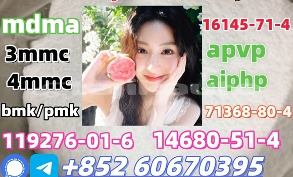 Buy Bmk/Pmk low price in Chkalov in Sughd Buy Bmk/Pmk low price in Chkalov in Sughd