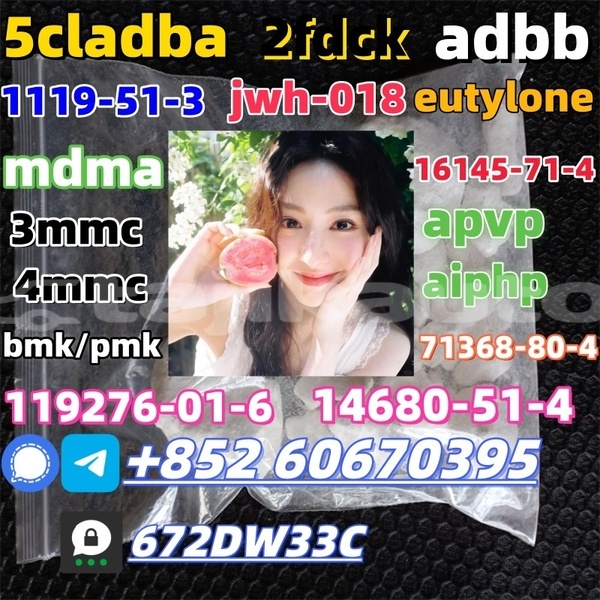 Big with watermark 1 23022521343a09