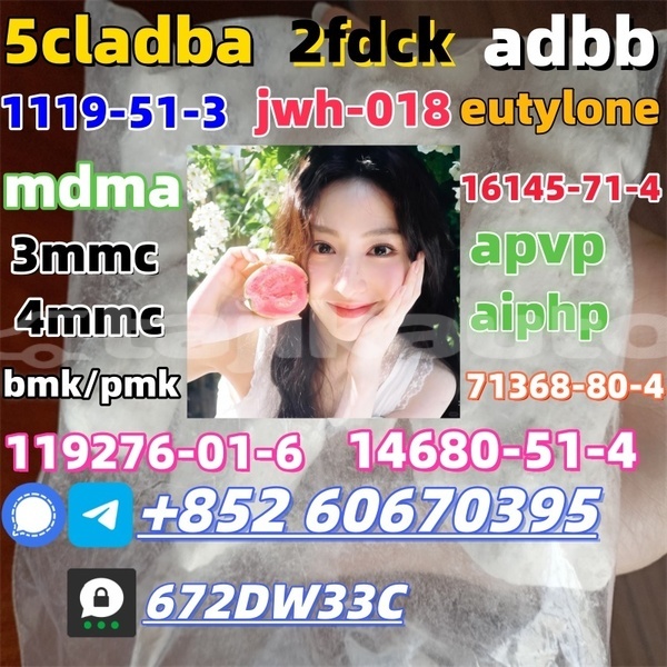 Big with watermark 1 23022521344ri