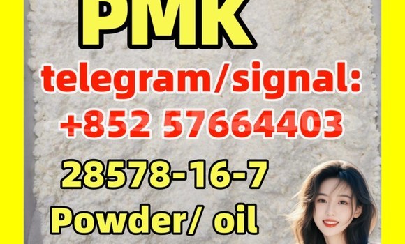 Medium with watermark bp2