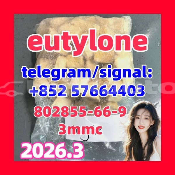 Big with watermark eu3