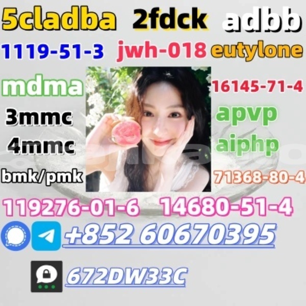 Big with watermark 4 amino 3 5 dichloroacetophenone cas 37148 48 4 2 