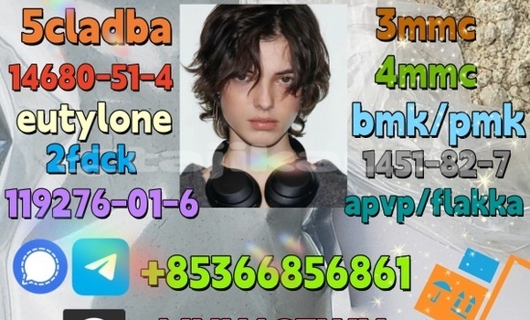 1119-51-3 factory direct 