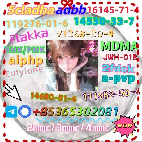 Big with watermark 1 12 