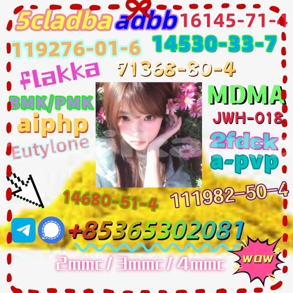 Big with watermark images