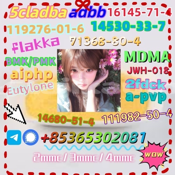 Big with watermark %e4%b8%8b%e8%bd%bd 2 