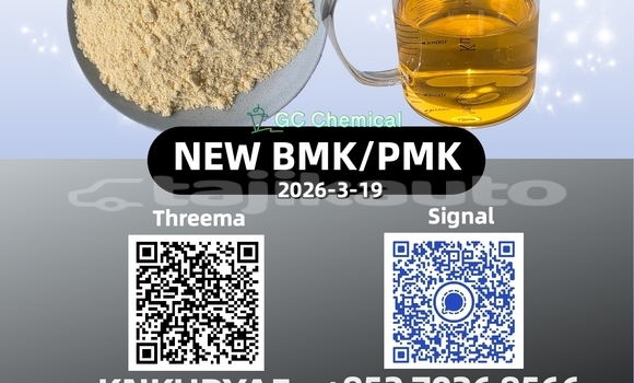 Medium with watermark 58