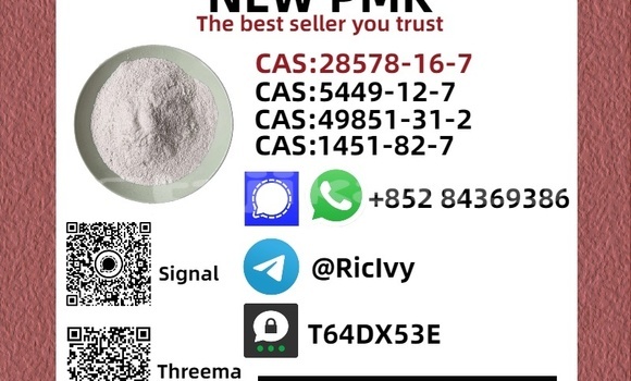 Buy New Bedford CFL White Car in Chkalov in Sughd