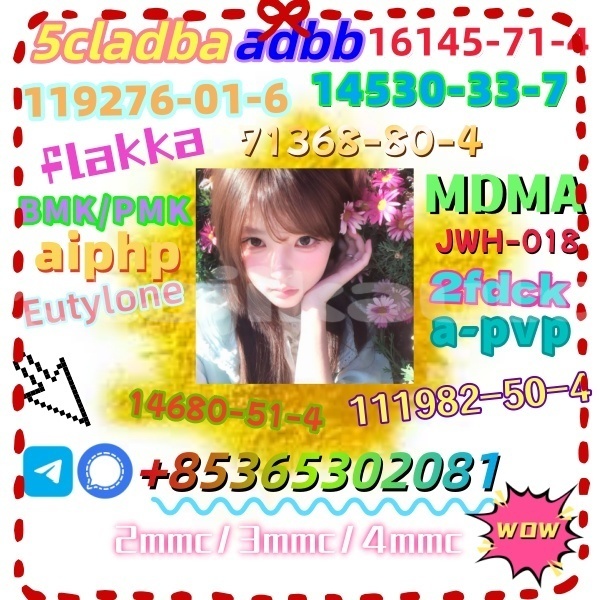 Big with watermark 1 17