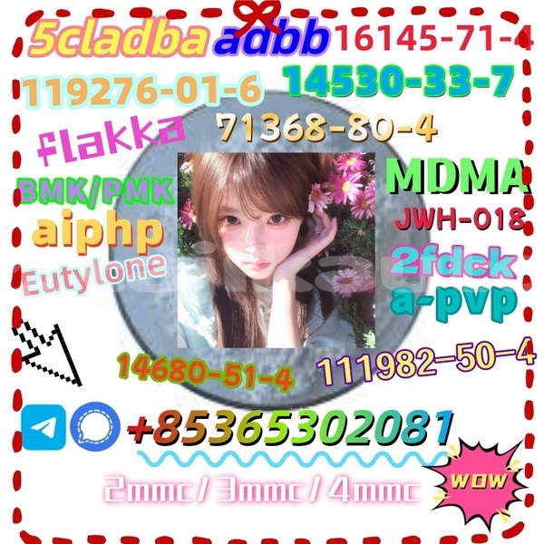 Big with watermark 1 11 