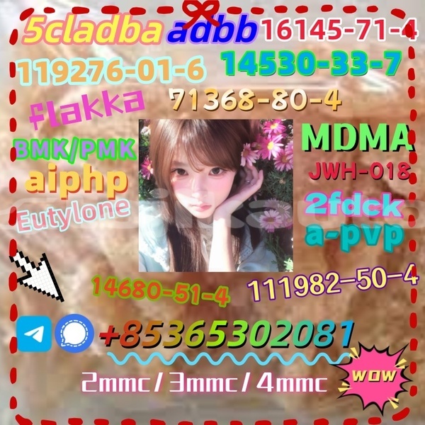 Big with watermark images 15 