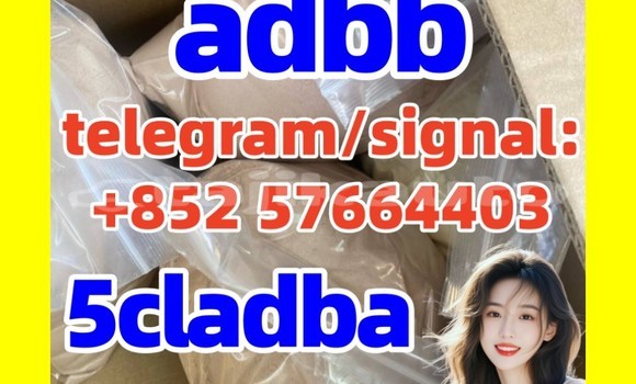 Medium with watermark 5cl2