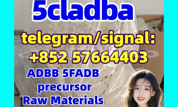 Medium with watermark 54