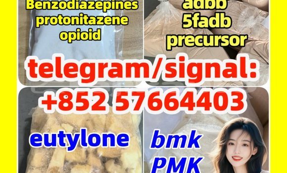 Medium with watermark z2