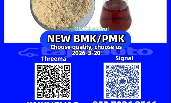 Medium with watermark 33