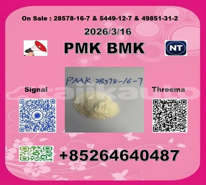 Big with watermark 2026 03 18 105345