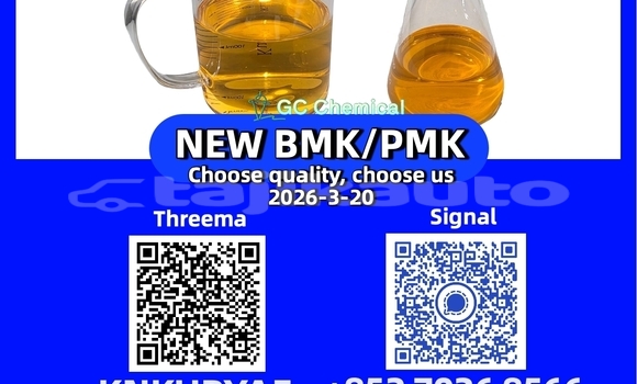 Medium with watermark 31