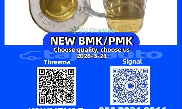 Medium with watermark 26