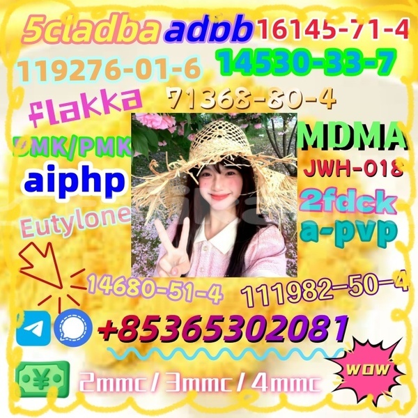 Big with watermark 1 10 