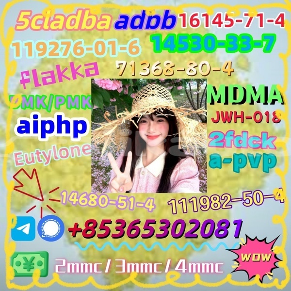 Big with watermark 1 13 