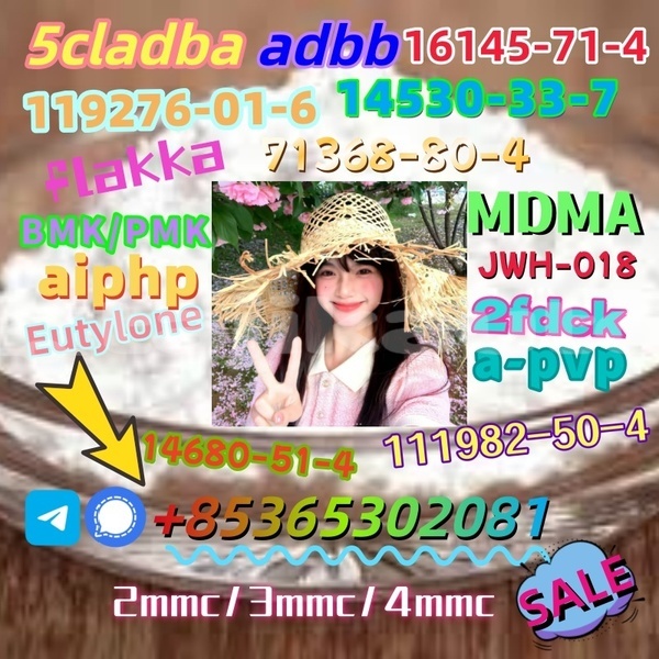 Big with watermark 1 1