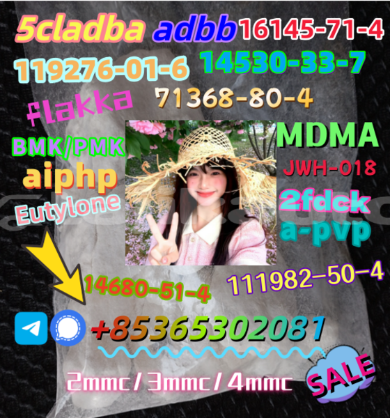 Big with watermark apvp