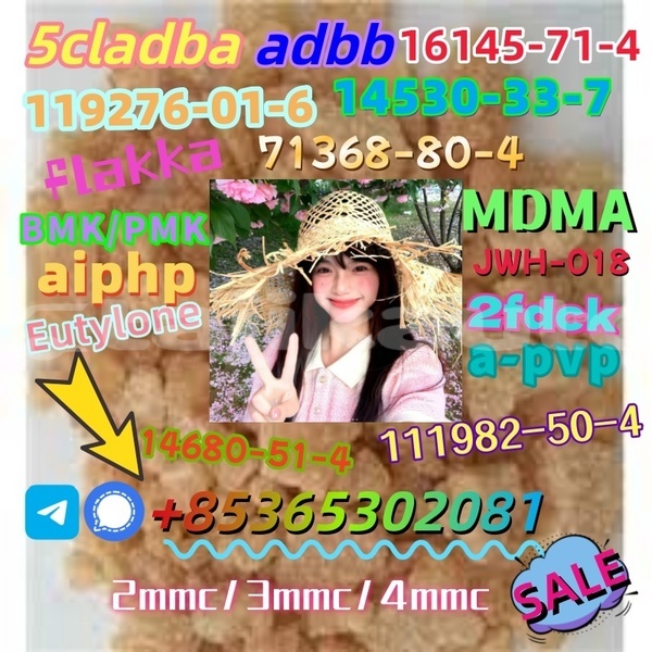 Big with watermark images 14 