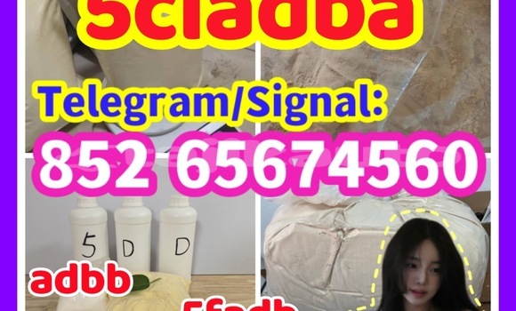 Buy Alprazolam, in Chorku in Sughd Buy Alprazolam, in Chorku in Sughd