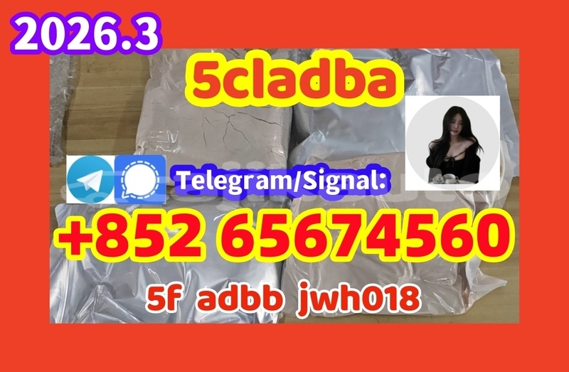 Big with watermark 155cl %e5%89%af%e6%9c%ac