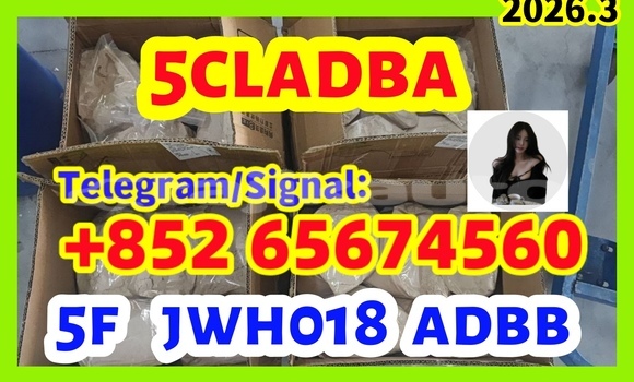 Buy Predám supply EU, in Chkalov in Sughd Buy Predám supply EU, in Chkalov in Sughd