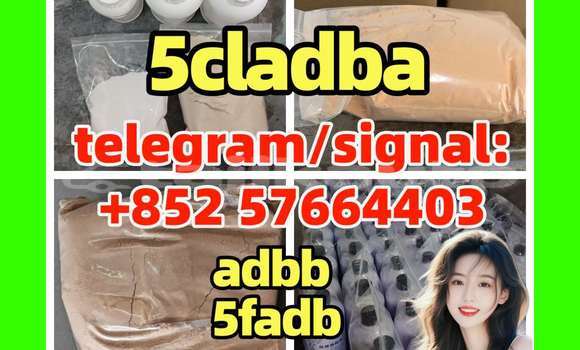 Medium with watermark 5c1