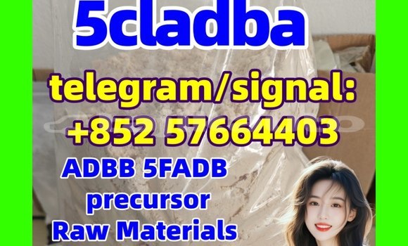 Medium with watermark 51