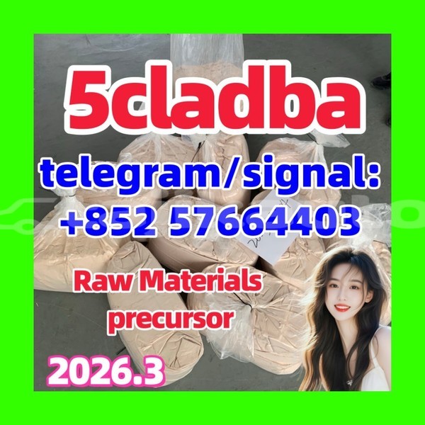 Big with watermark 551