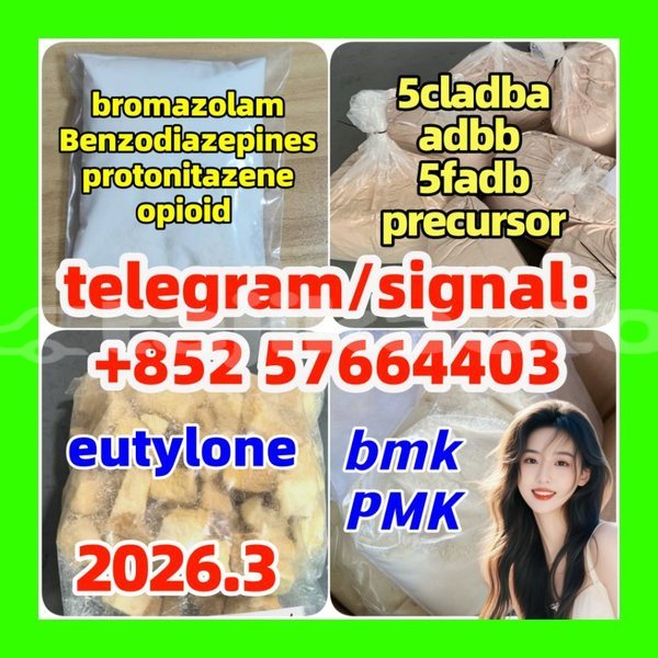 Big with watermark z1