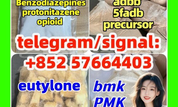 Medium with watermark z1