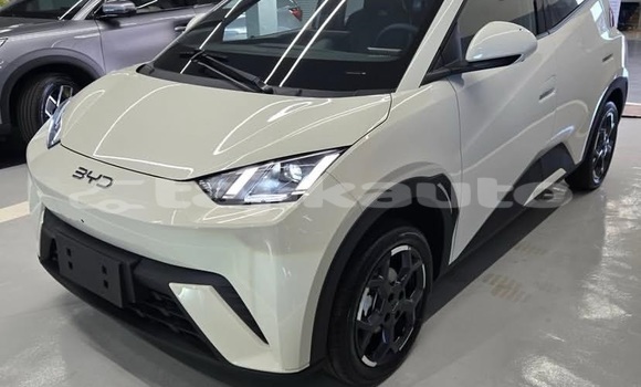 Buy Used BYD S6 White Car in Buston in Sughd