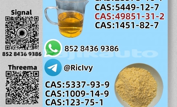 Buy New Alpine GTA Brown Car in Ayni in Sughd