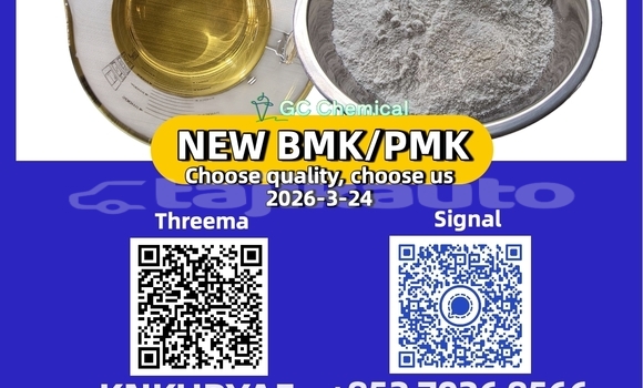 Medium with watermark 1