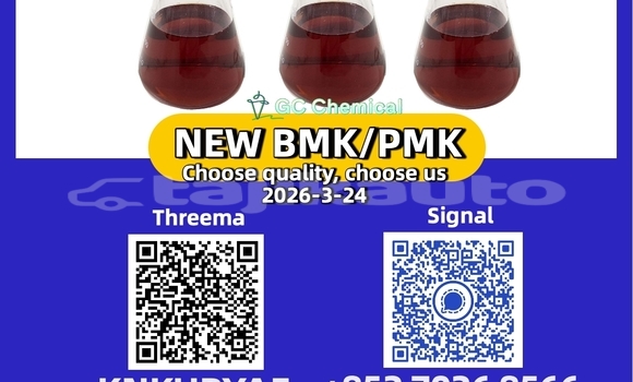 Medium with watermark 2