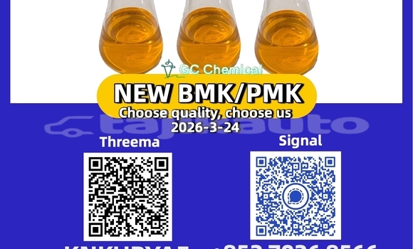 Medium with watermark 3