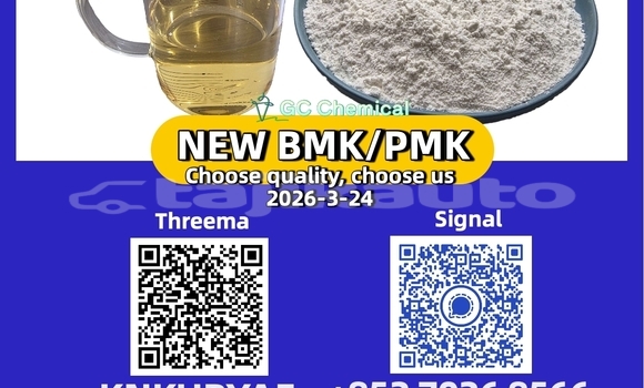 Medium with watermark 4