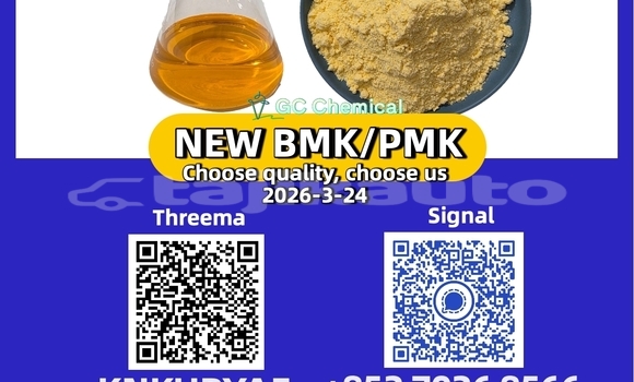 Medium with watermark 5