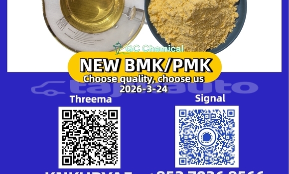 Medium with watermark 6