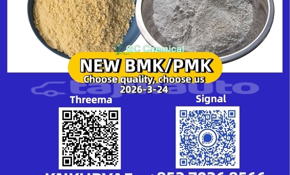 Medium with watermark 8