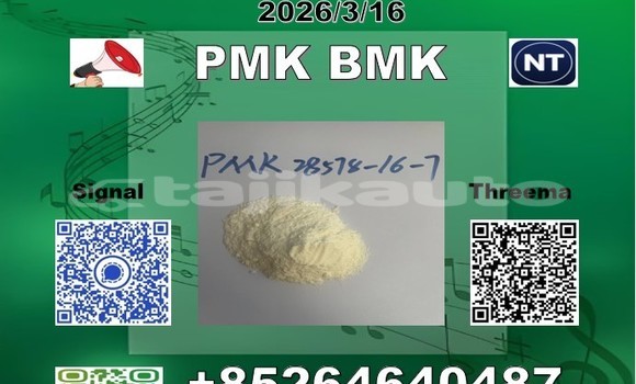Buy P-MK 1369021-80-6 in Chkalov in Sughd Buy P-MK 1369021-80-6 in Chkalov in Sughd