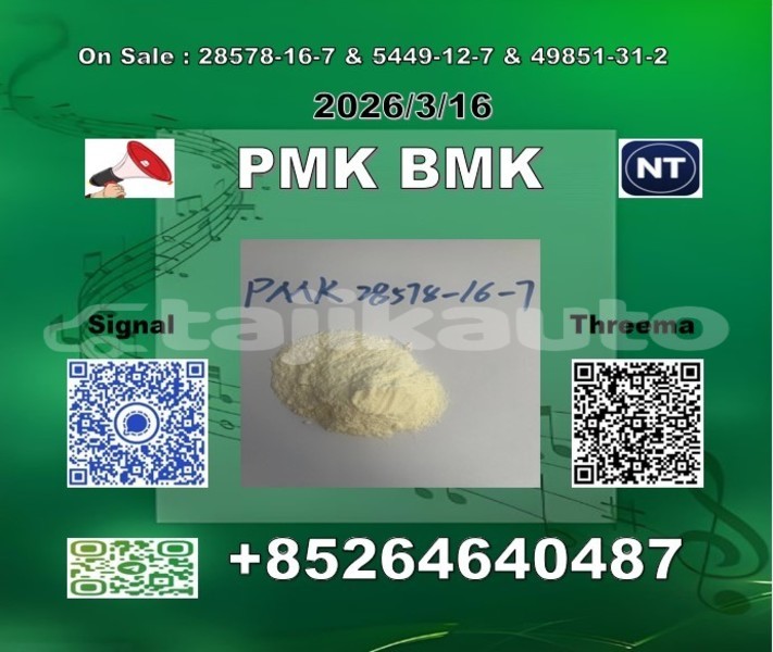 Big with watermark 2026 03 18 105547