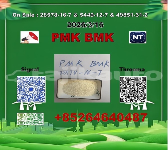 Big with watermark 2026 03 18 111112