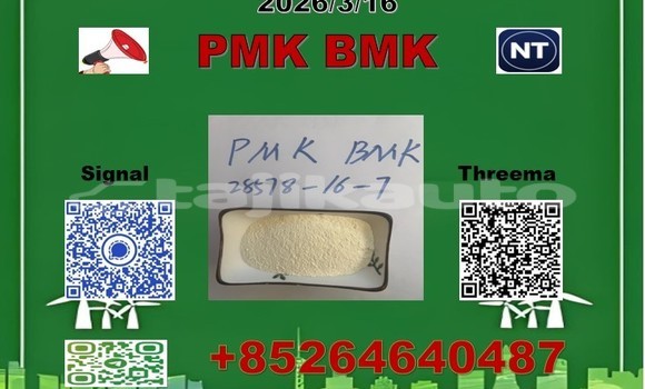 Medium with watermark 2026 03 18 111112