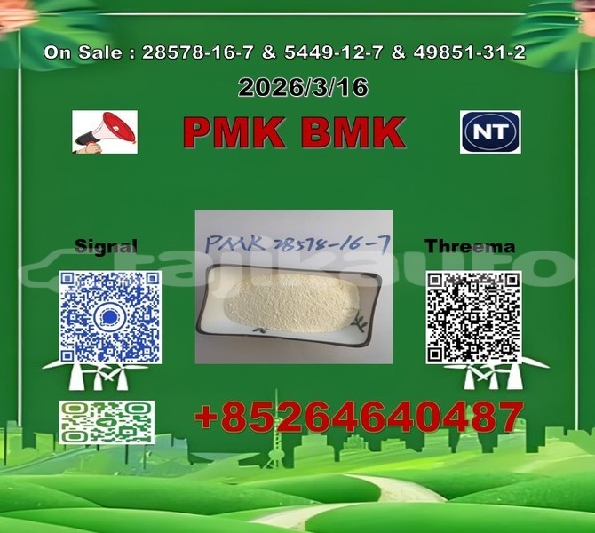 Big with watermark 2026 03 18 111127