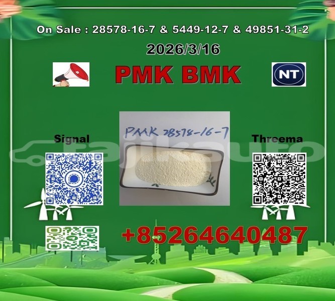 Big with watermark 2026 03 18 111143